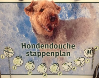 Hondendouche bij Intratuin