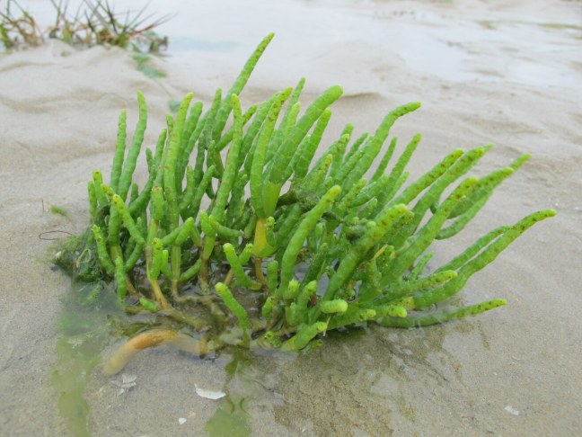 76F1A399-F95F-4F8F-8016-DFB7343B1936